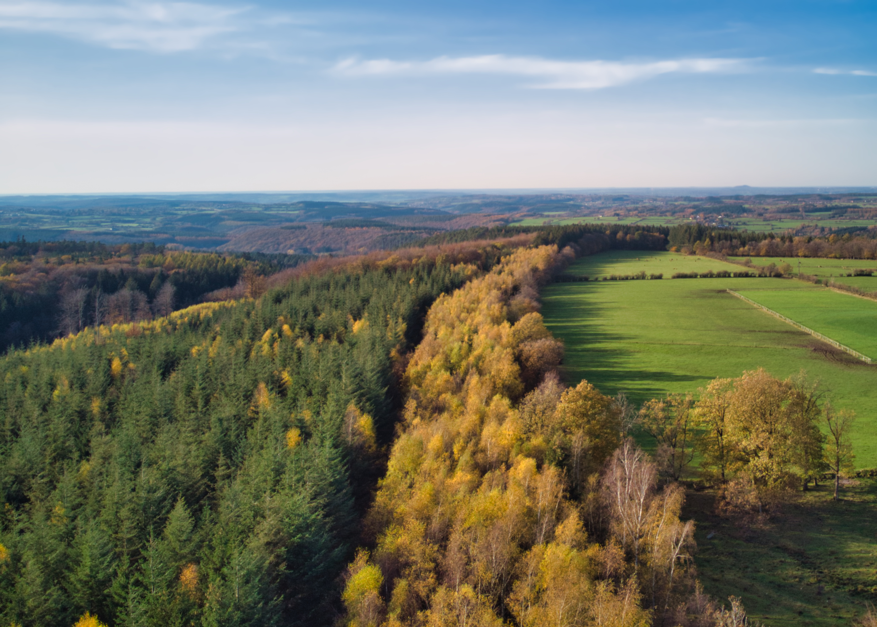 Wald und Wiesen